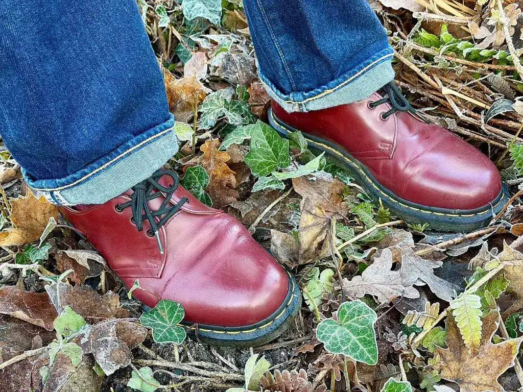 Le jean Levi’s 501